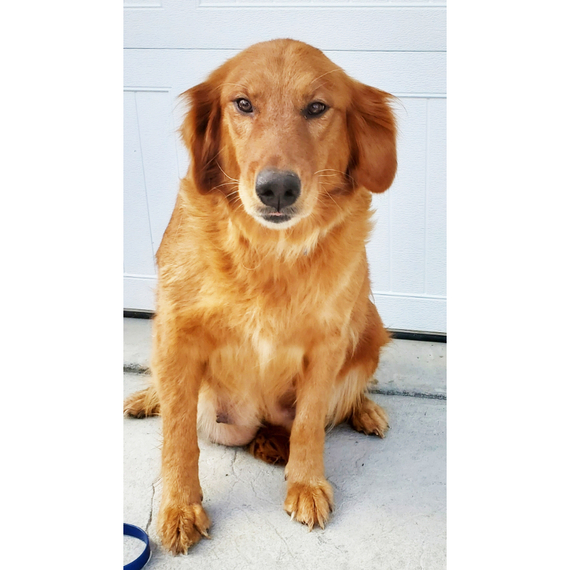 Tammy